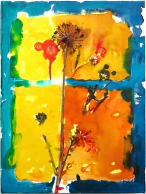 Flora VIII